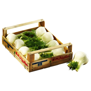 Fenchel Deutschland - 3 kg Kiste