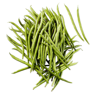 Bohnen fein 250g