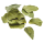 Kaffir Limettenblätter Thailand - 50 g Stück