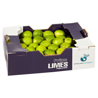 Limetten Kiste 4kg