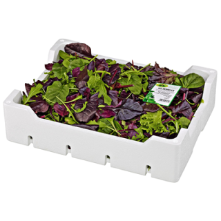 Wildkräutersalat Italien - 500 g Kiste
