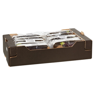 Aubergine Niederlande Kiste 5kg