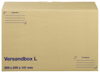 Smartbox Versandkarton L