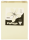 Papago DIN A4 Kopierpapier Chamois 160 g/m² - 250 Blatt