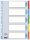 Esselte 100191 Register Blanko Karton A4