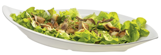 APS Schale Leaf