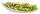 APS Schale Leaf