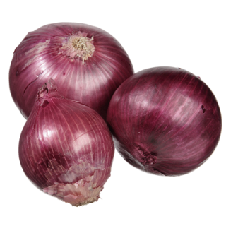 METRO Chef Bio Zwiebeln Rot Niederlande - 500 g