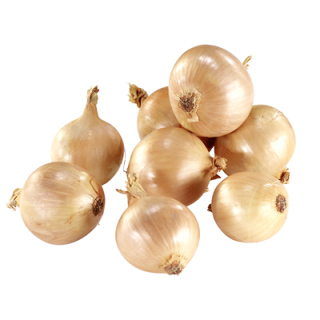BIO Zwiebeln Gelb - Deutschland - 500 g Netz
