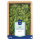 Koriander grün 100g