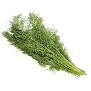 METRO Chef Dill Israel - 100 g Stück