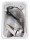 Dorade Royal frisch - 1 kg