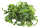 Meersalat - 1 kg