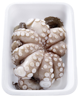 Pulpo frisch - 1,00 kg