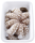 Pulpo frisch - 1,00 kg