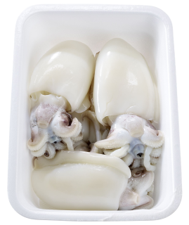 Sepia frisch - 1,00 kg