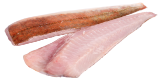 Knurrhahnfilet mit Haut frisch - 1,00 kg