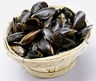 Miesmuscheln Extra gekühlt, frisch - 10 x 1,00 kg...