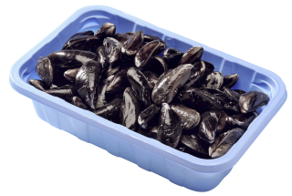 Miesmuscheln Extra frisch - 10,00 kg Schachtel