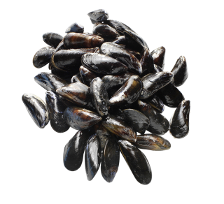 Miesmuscheln Super gekühlt - 1,00 kg Packung