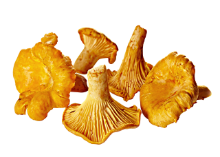 Golden Mushroom Pfifferlinge tiefgefroren - 1,00 kg Packung
