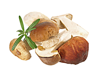 Golden Mushroom Steinpilze tiefgefroren - 1,00 kg Beutel