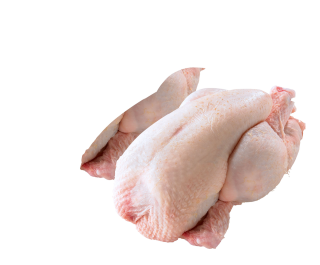 Stubenkücken - 550 g Stück