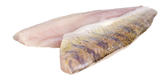 Zanderfilet OH frisch - 1,00 kg