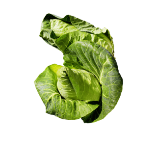 Spitzkohl Deutschland - 700 g Stück