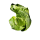 Spitzkohl Deutschland - 700 g Stück