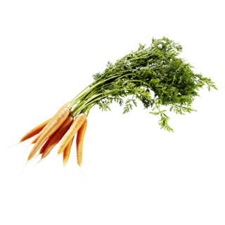 Möhren Bund Italien - 720 g Bund