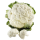 Blumenkohl Deutschland - 1,50 kg Stück