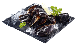 Miesmuscheln Gourmet aus Galizien 1 kg frisch - 1,00 kg Karton