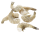 aro White Tiger Garnelen 58/66 tiefgefroren - 1,00 kg Beutel