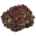 Salat Lollo Rosso lose 9er Kiste