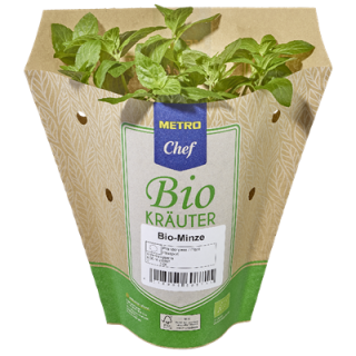 METRO Chef Bio Minze Deutschland 13 cm Topf - 200 g Topf