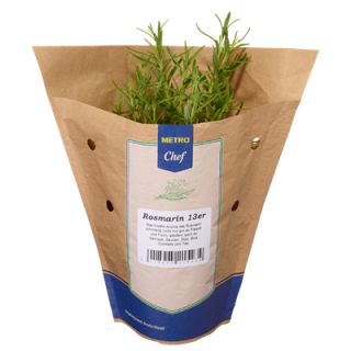 METRO Chef Bio Rosmarin Deutschland 13 cm Topf