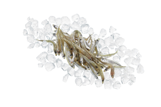 Ährenfisch/Acquadelle frisch - 1 kg