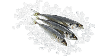 Stöcker ausgenommen mit Kopf frisch - 1,00 kg