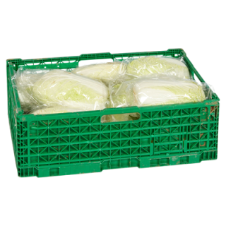 Chinakohl Deutschland - 1 kg Stück