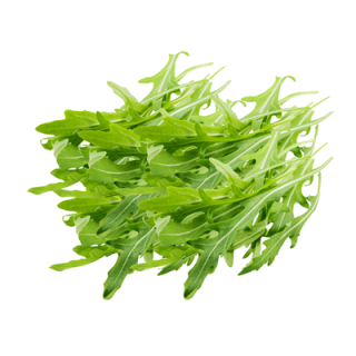 Rucola Salat 1kg gebündelt