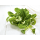 Feldsalat  150g