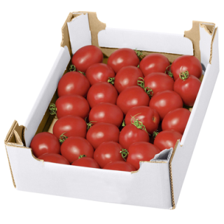 Sandwichtomaten - Marokko - 2,5 kg Kiste