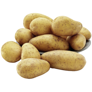 Speisefrühkartoffeln vorwiegend festkochend - 2,5 kg...