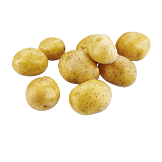 Speisefrühkartoffeln Drillinge festkochend - 1 kg Netz