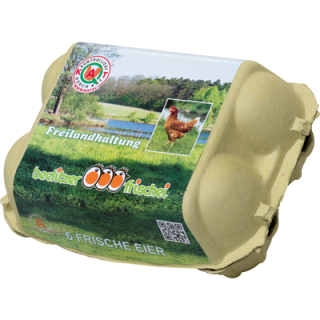 Beelitzer Frischei Bio Eier Gr. M-L Freiland - 6 Stück