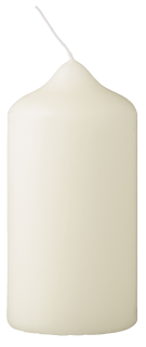 METRO Professional Stumpenkerzen Ivory 100 x Ø 48...