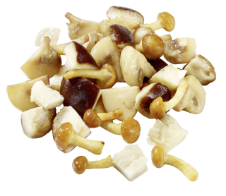 Golden Mushroom Klassische Waldpilzmischung tiefgefroren 1kg