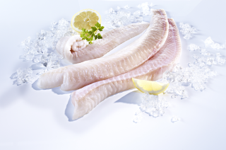 Steinbeisserrückenfilet frisch - 1,00 kg