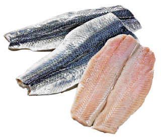 Heringslappen frisch - 1 kg